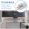 Wesome Lighting 12 Inch F8T5/DL LED Replacement Bulbs, 6500K Daylight,
