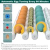 CoInceptus Incubators for Hatching 36 Eggs with Automatic Egg Turning