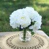 WGVI WGV AZ_VBD0104_CL Round Glass Bud Vase with Glass Cleaning