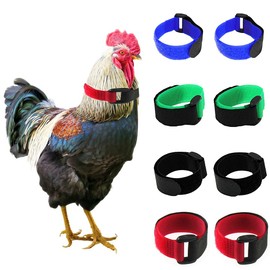 Tkocisa 8 Pack No Crow Rooster Collars, Chicken Collar Anti-Hook Noise Free Neckband No Crow Noise Neck Belt for Roosters - Prevent Chickens from Screaming, Disturbing Neighbors