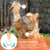prota 6 PCS Cat Bouncy Ball With Feather, Bouncy Tails