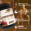 Creatina Monohidratada 1kg Klokan 200 Servicios Sabores