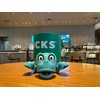 XYG® Turtle Coaster, Turtle Cup Holder with Funny Expression, Cup