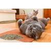 Purple Haze Catnip, Premium Blend Safe for Cats, Infused with