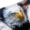 Men Swim Briefs Bald Eagle American Flag 4Th of July