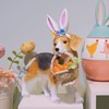 Cynkeyee Dog Garden Statue Decoration - Cute Puppy Beagle Statues