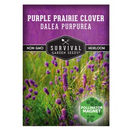Survival Garden Seeds - Purple Prairie Clover Seeds for Planting | Dalea purpurea | Drought Tolerant North American Native Wildflower - 1 Pack