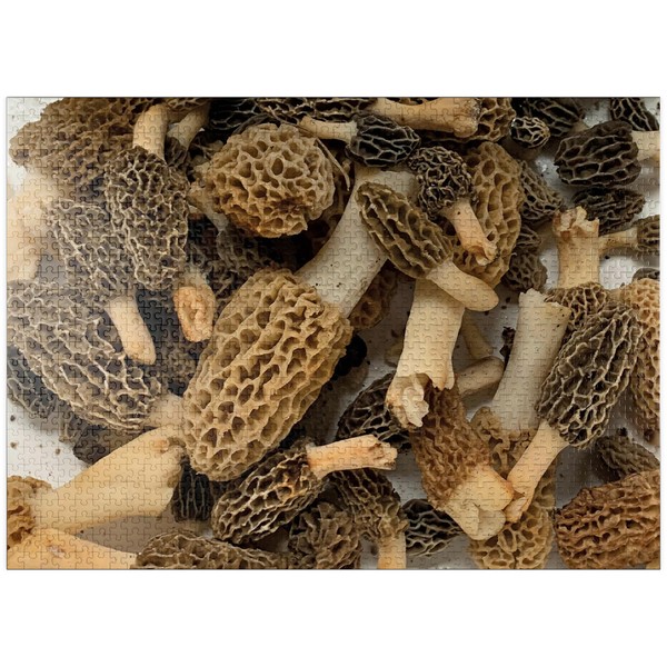 MyPuzzle Macro Photography: Wild Morel Mushrooms Collage - Premium 1000