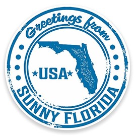 2 x 10cm Florida Vinyl Sticker Decal Laptop Luggage Tag Label Car USA #9231 (10cm Wide x 10cm High)