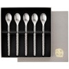 Asahi TW-8 Coffee Spoon, Titanium, 4.8 inches (123 mm), Set