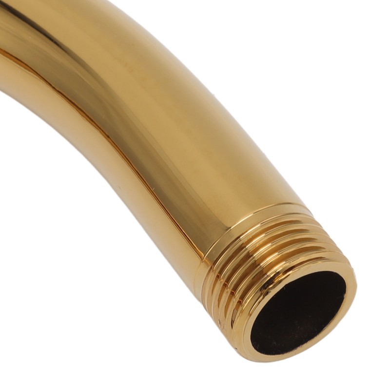 Stainless Steel S Shaped Raised Shower Arm and Flange NPT