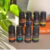 SpaRoom SpaRoom 100% Pure Essential Oils Set; Perfect for Aromatherapy,