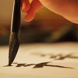 WSNDM Chinese Brush Set 8, Chinese Calligraphy Brush, Japanese Sumi Drawing Brush, Beginners of Chinese Brush, Watercolour Brush for Calligraphy Hand Lettering Japanese