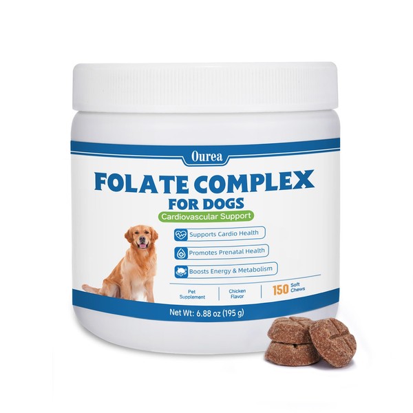 Folic Acid for Dogs - Dog Prenatal Vitamins with B12,