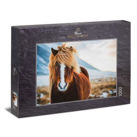 Ulmer Puzzleschmiede - Puzzle Icelandic horse in winter: 1000 pieces jigsaw puzzle - pretty horse puzzle: beautiful Iceland pony in front of winter nature in Iceland