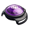 Orbiloc Dual Flashing/Solid Safety LED Light for Dogs - High Visibility Running Light Durable Water Proof Impact Resistant Attach to Harnesses and Collar Dog Walking Light - Purple