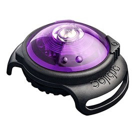 Orbiloc Dual Flashing/Solid Safety LED Light for Dogs - High Visibility Running Light Durable Water Proof Impact Resistant Attach to Harnesses and Collar Dog Walking Light - Purple