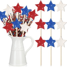 Vicenpal 24 Pcs Patriotic Glitter Wooden Star Picks Memorial Day Decorations 4th of July Double Sided Picks Red White Blue Decorative Vase Filler for Independence Day Home tabletop centerpieces