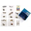Carolata 3D Picture Book, Realistic Figure Box (Ancient Fish, 7
