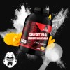 Creatina Monohidratada 1kg Strong Protein Varios Sabores