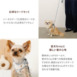 Monchéri (Embroidered Dinosaur Pattern Harness + Lead Set) Dog Harness, Small Dogs (M/Blue) Size Adjustable, One Touch, Easy to Put on and Take off, For Dogs, Walks, Outings