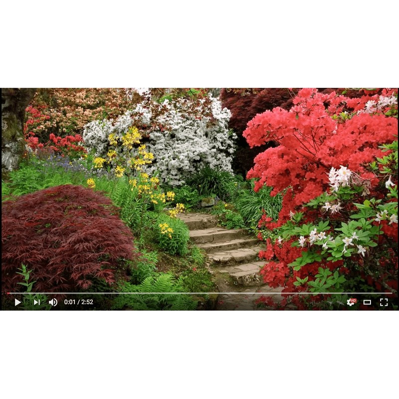 CITRUSGAIN 10lb Bag, Citrus Fertilizer