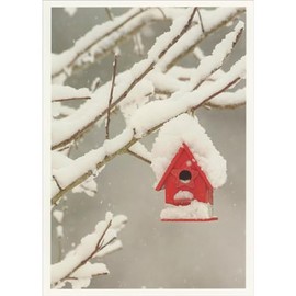Palm Press Snow Covered Red Bird House Hanging from Snow Covered Branches Box of 10 Christmas Cards