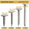 AERZETIX - C70839 - Set of 300 large flat head