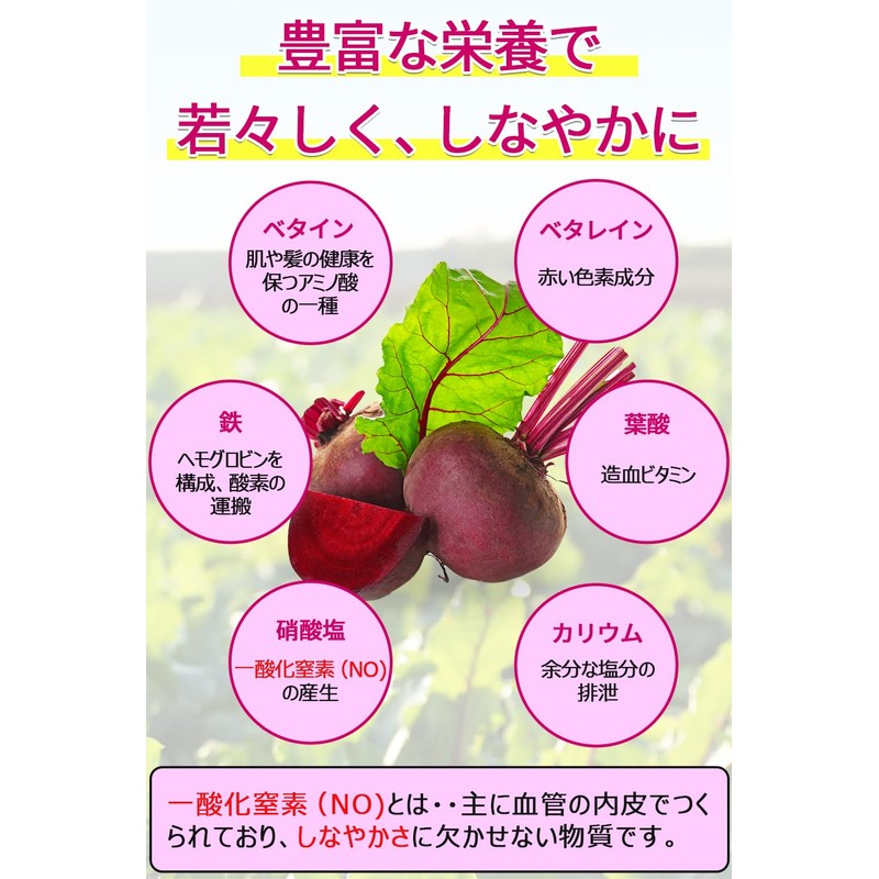 &WELL アクティブ ビーツ 残留農薬検査実施済 着色料・保存料 無添加 タブレット 186粒(1)