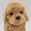 BH6153 HANSA Toy Poodle 22