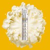 Primera [프리메라]NEW 비타티놀 바운시 리프트 세럼 [Primera] NEW Vitatinol Bouncy
