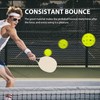 Gokano 12-Pack Premium Pickleball Balls