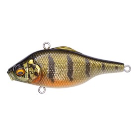 VIBRATION-X SMATRA (RATTLE IN) FA PEACOCK