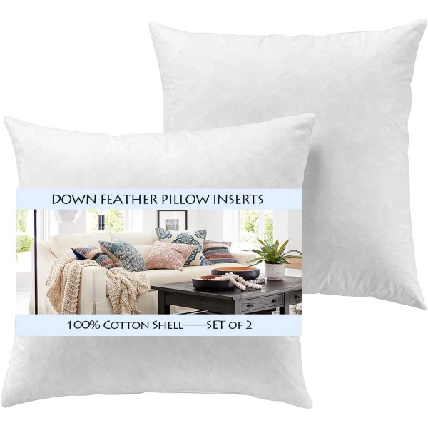 Set of 2-20X20 Throw Pillow Inserts-Down Feather Pillow Inserts-White