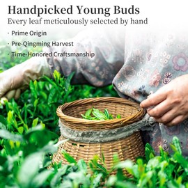 Yuexi Longjing Green Tea Loose Leaf 2025 New Tea Dragon Well Green Tea Long Jing Tea Rich Bean Aroma 龙井茶 龍井茶 绿茶 茶叶 120g/4.23oz