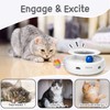 ORSDA 2in1 Interactive Toys for Indoor Cats, Timer Auto On/Off,