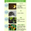 Flora HB-101 500cc PlantLiquid which strengthens very much the plant