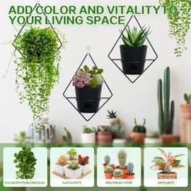 Koalaime Koalaime 3 Sets of Wall Planters for Indoor Plants, Hanging Wall Planter with Black Metal Holder, Geometric Self Watering Wall Flower Pots, Wall Mounted Succulent Planter, 5" Black Plant Pot