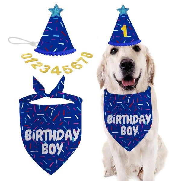 Dog Birthday Bandana Set, Blue Birthday Boy Decorations, HBD Party