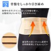 コモライフ メッシュタイプの骨盤サポートベルト Lサイズ 骨盤 サポートベルト 骨盤ベルト 腰ベルト 二重ベルト 補助ベルト メッシュ