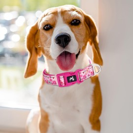 Reflective Dog Collar for Medium, Large & Extra Large Dogs - Soft Neoprene Padded, Pink Girls Nylon Adjustable Durable pet Collar for Walking, Running, Night Safety (XL)