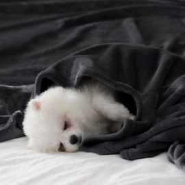 BEAUTEX Fleece Blanket King Size Super Soft Flannel Throw Blanket Lightweight Fuzzy Plush Blanket for Couch Sofa or Bed All Seasons (Black, 108" x 90")