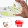 YINZZTR Plastic Petri Dish, Laboratory Cell Tissue Petri Dishes, Transparent