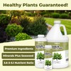 Shrub Fertilizer, Complete Liquid Shrub Plant Food, 8 oz (250mL)