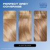 Clairol Lasting Colour Permanent Hair Dye | Perfect Grey Coverage