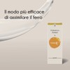 SEB - FORMULA FERRO & VITAMINA C - 500 ml