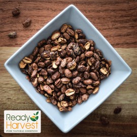 Ready Harvest Emergency Food - Quick-Cook Pinto Beans | Dried Beans | Survival Food | #10 Can | 25-Year Shelf Life | 3 lbs | Cans Filled to the Top