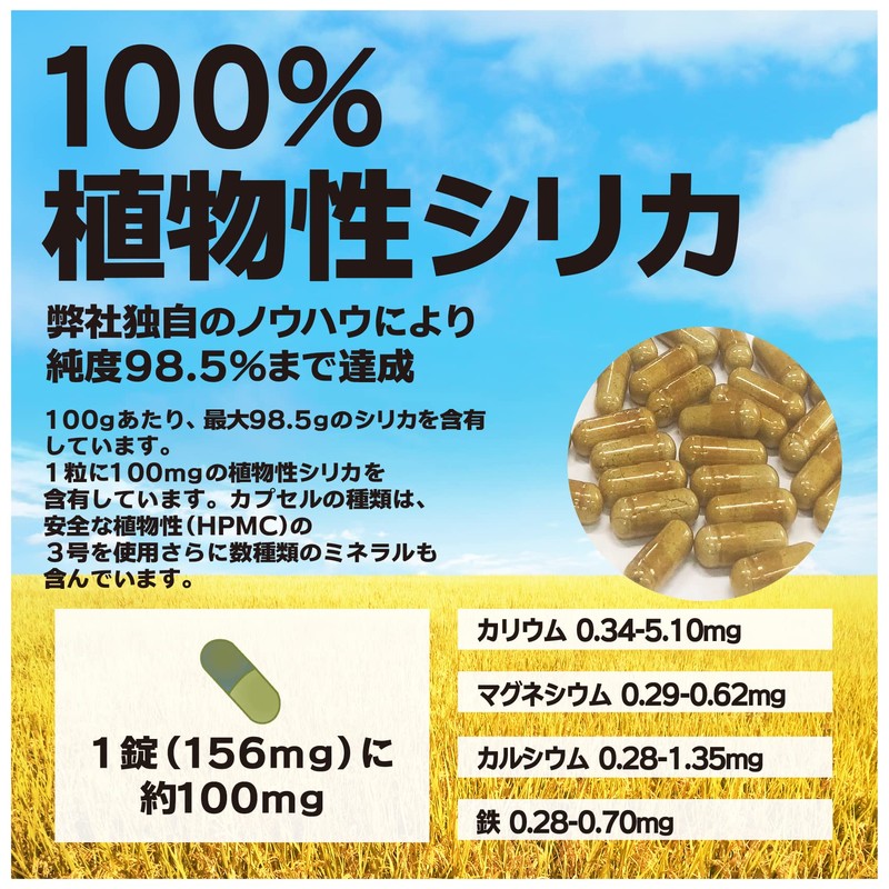 元気になるシリカ ＋ 腸内フローラ カプセル50粒入