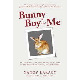 Bunny Boy and Me: My Triumph over Chronic Pain with the Help of the World's Unluckiest, Luckiest Rabbit
