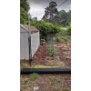 PAK Global Virtually Invisible Deer Fence! Protect Your Garden, &